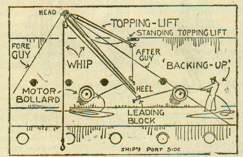 [Topping