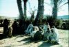sap01_asc00008_p.jpg